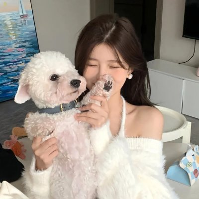 橱窗里的兔子先生 封面