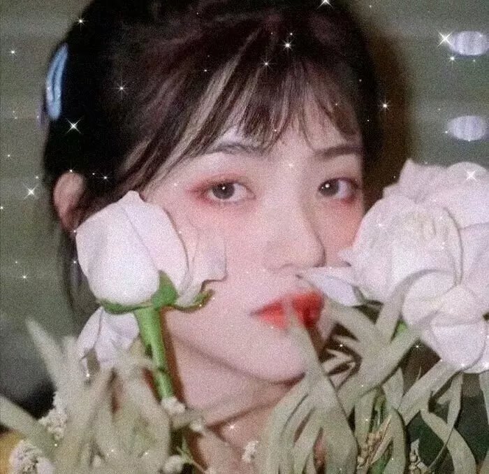 十分花少 封面